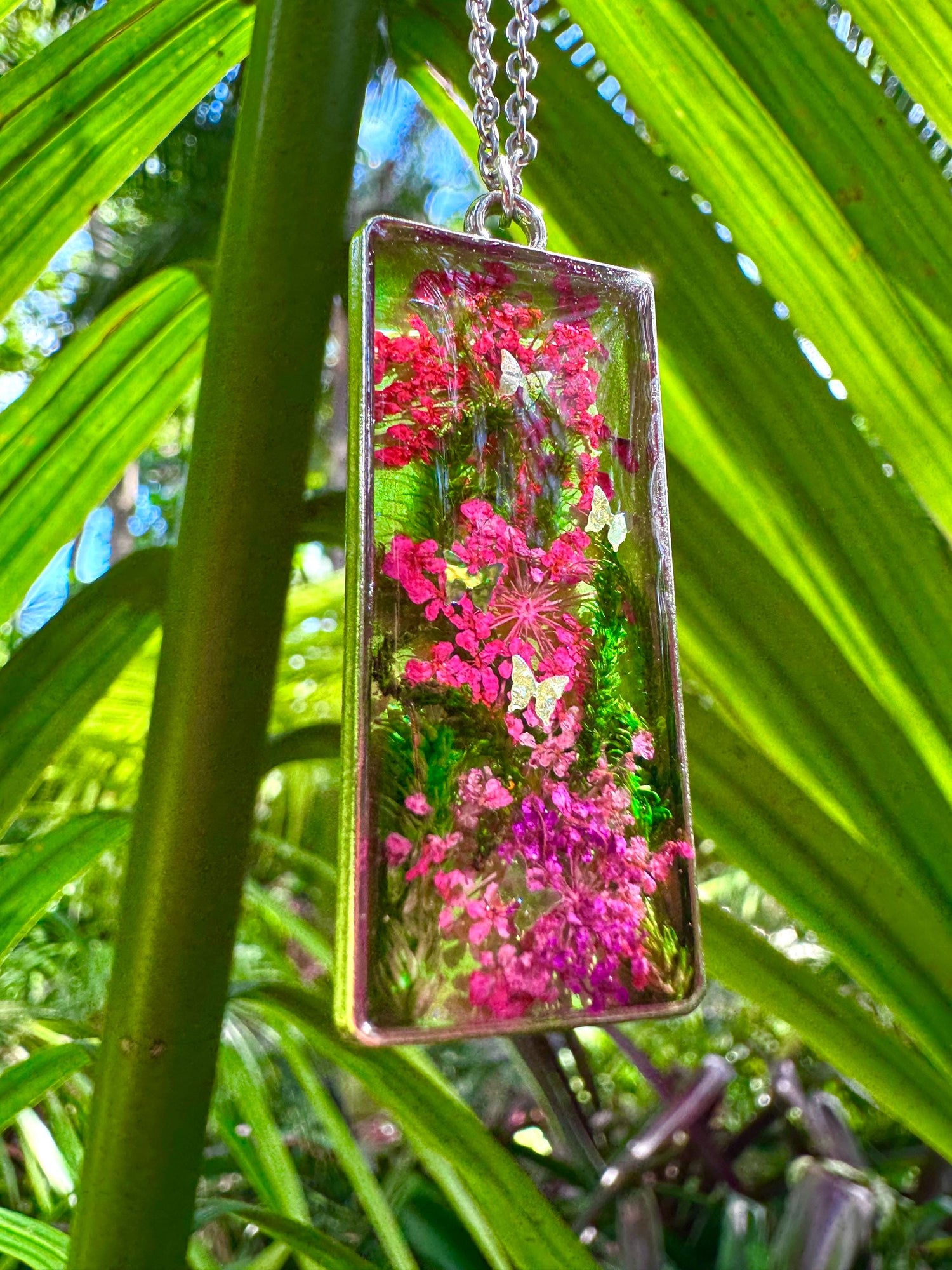 Nature Collection!